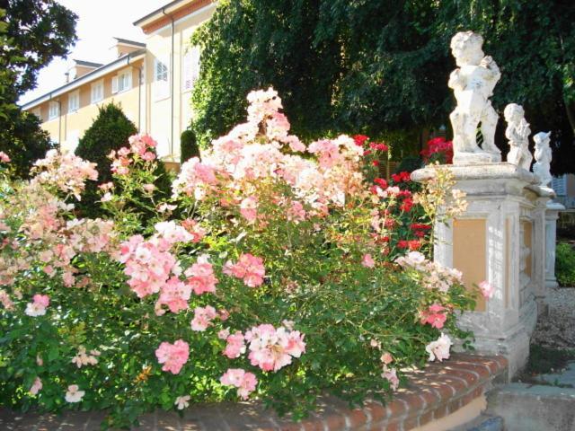 Park Hotel Villa Salzea Trofarello Eksteriør bilde