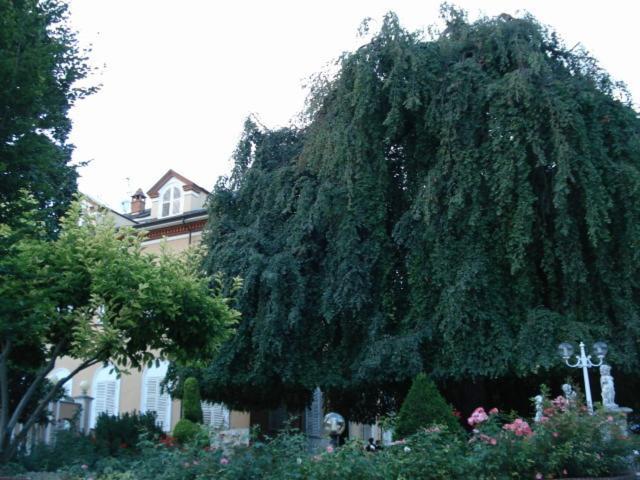 Park Hotel Villa Salzea Trofarello Eksteriør bilde